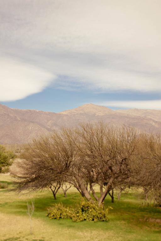 Altalaluna Hotel Boutique & Spa Cafayate Buitenkant foto